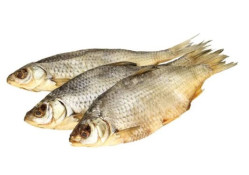 Гастера сушеная