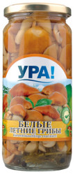 Bílé letní houby Ura 270g