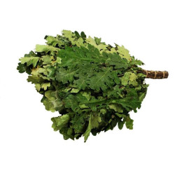 Дубовый веник для бани