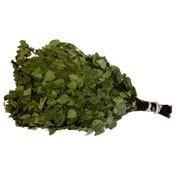 Березовый веник для бани