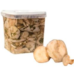 Ryzec lesní nakládaný Altajský