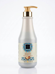 Шампунь Argan Oil, Восстановление и защита 500 мл Famirel