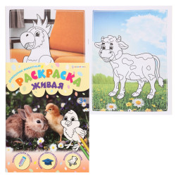 Раскраска Живая домашние животные