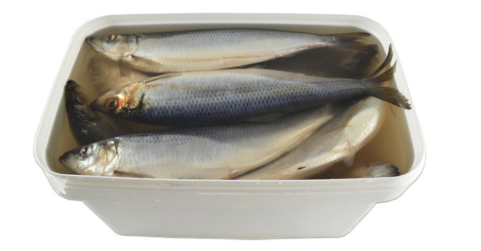 деталь Сельдь в солёном рассоле, ведро (чистый вес 7,5 кг) Mooijer