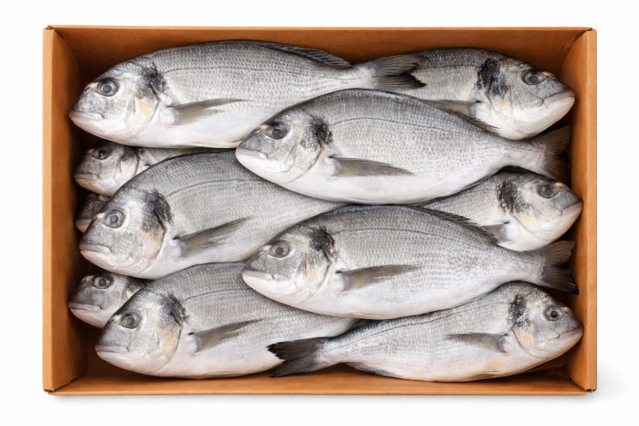 деталь Дорада сушённая приблизительно 300-400г