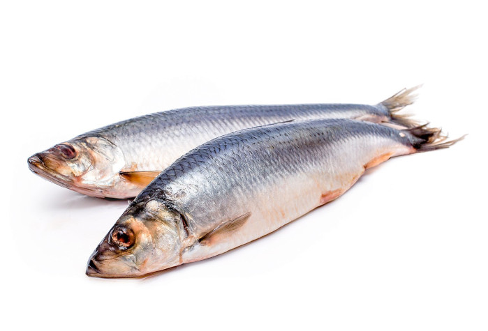 деталь Sleď malosol 1ks cca 400g