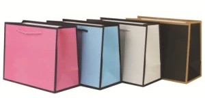 деталь Подарочный пакет 22х31см Разные цвета с окантовкой