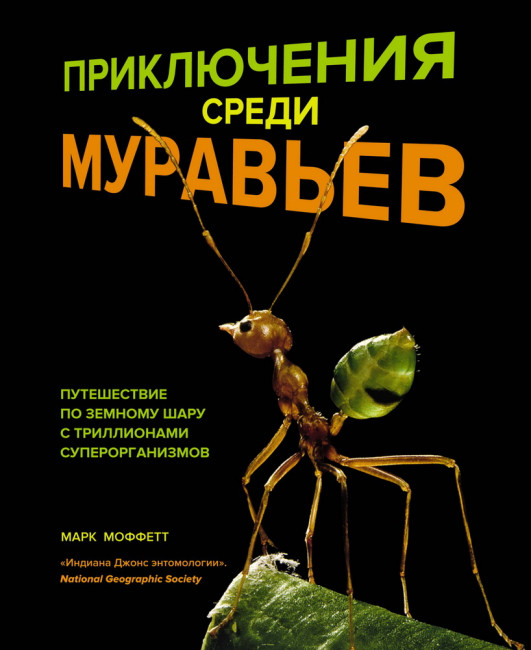 деталь 