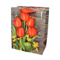 предварительный просмотр Dárková taška tulipány 23*18cm