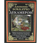 предварительный просмотр «Декамерон» Джованни Боккаччо