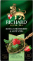 предварительный просмотр Чай Royal Strawberry & Aloe Vera 25*1,5г Richard